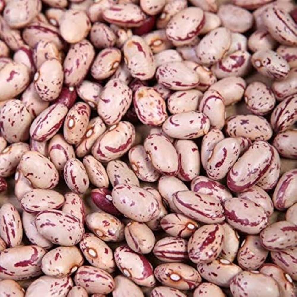 Rajma Chitra 500 Grams